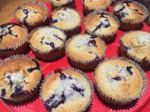 Blueberry cupcakes