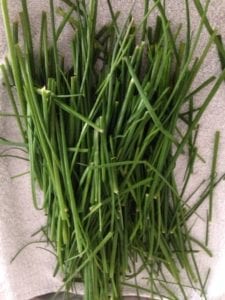Freezing Chives