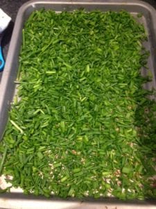 Freezing Chives