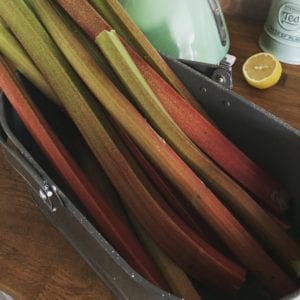 Rhubarb