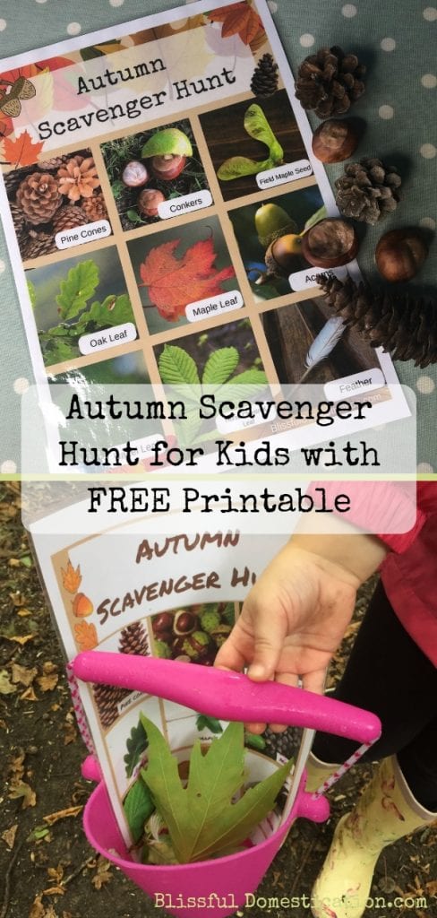 Autumn Scavenger Hunt Pin