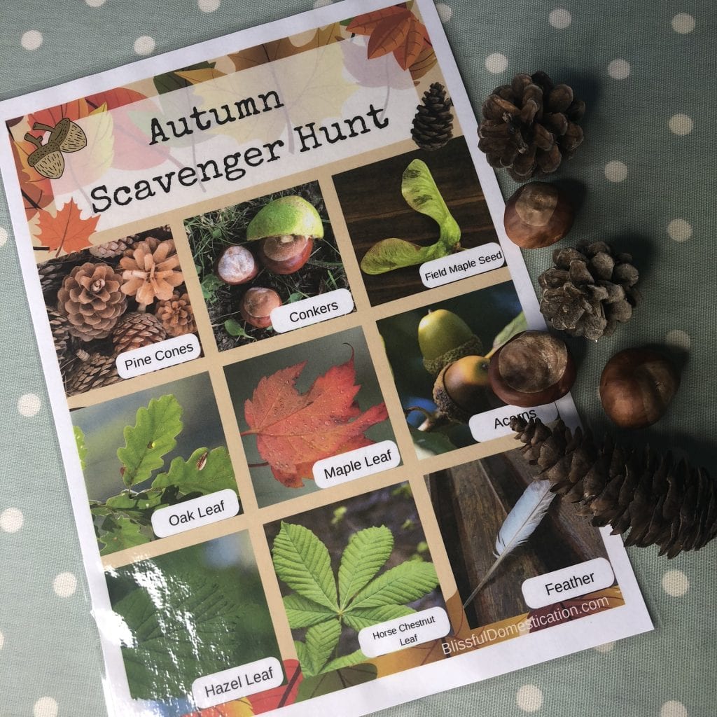 Autumn Scavenger Hunt