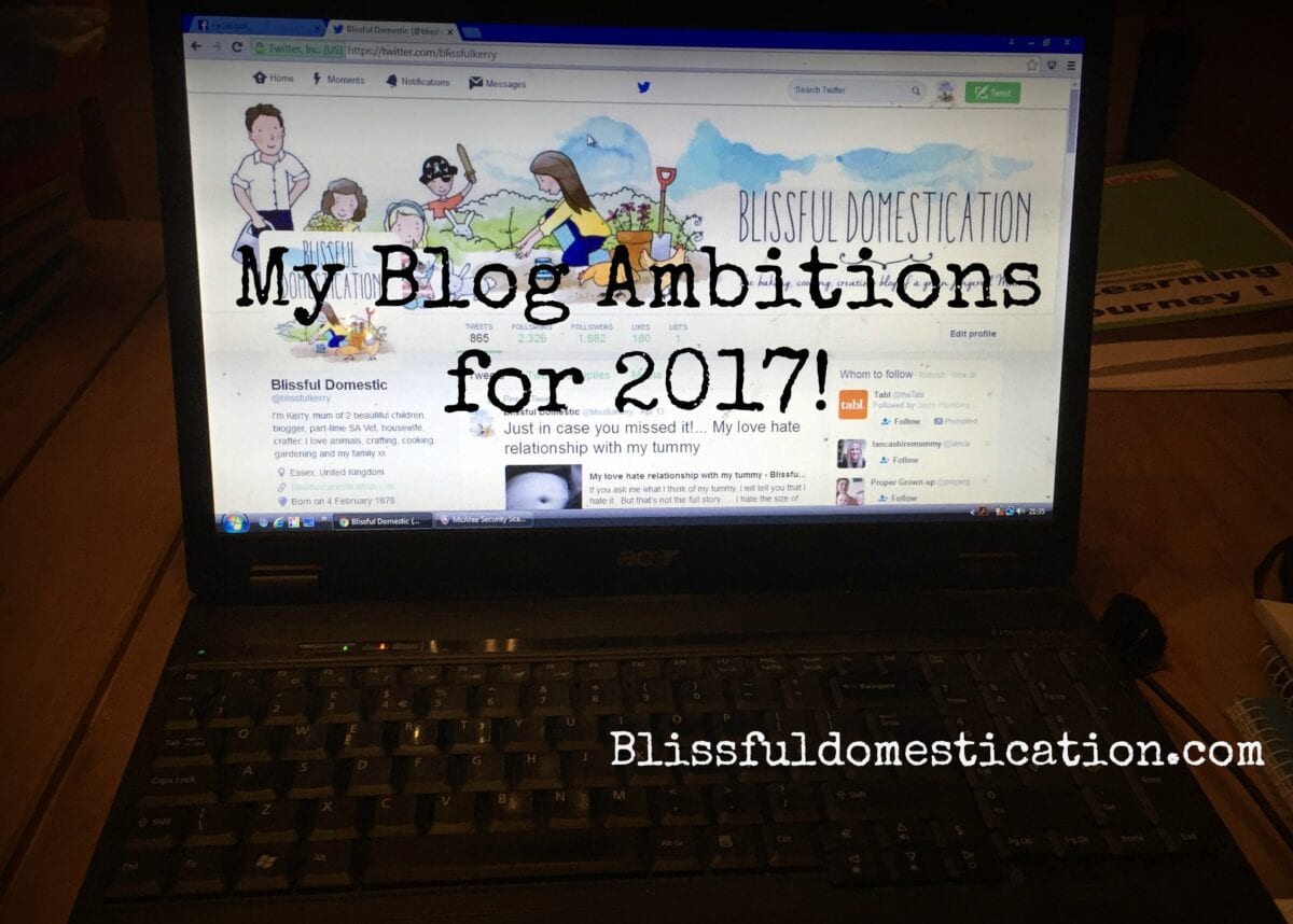 Blog Ambitions