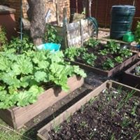 Get in Your Garden