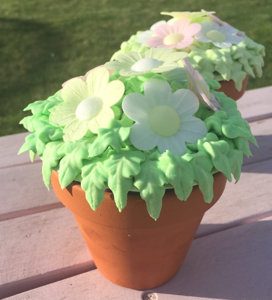 Flower pot cakes
