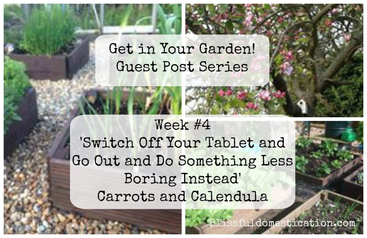 Get In Your Garden