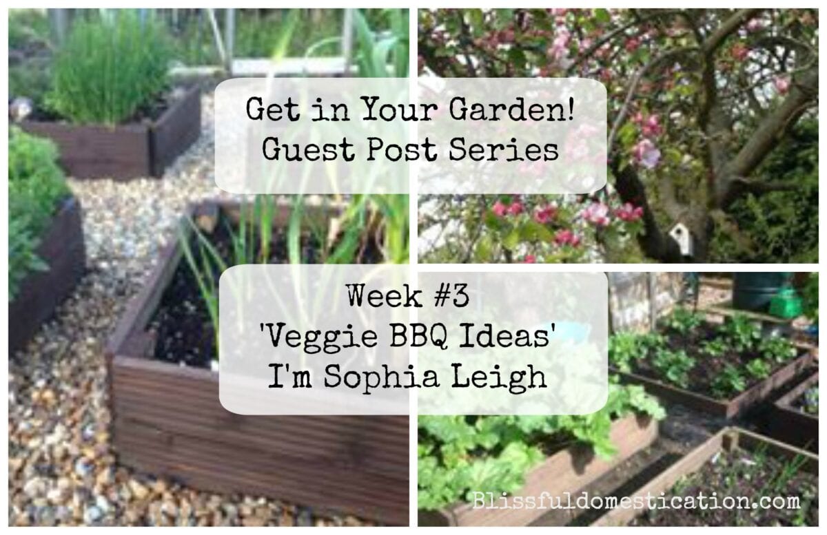 Veggie BBQ ideas