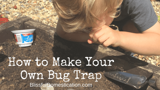 https://blissfuldomestication.com/wp-content/uploads/2017/07/How-to-Make-Your-Own-Bug-Trap.png