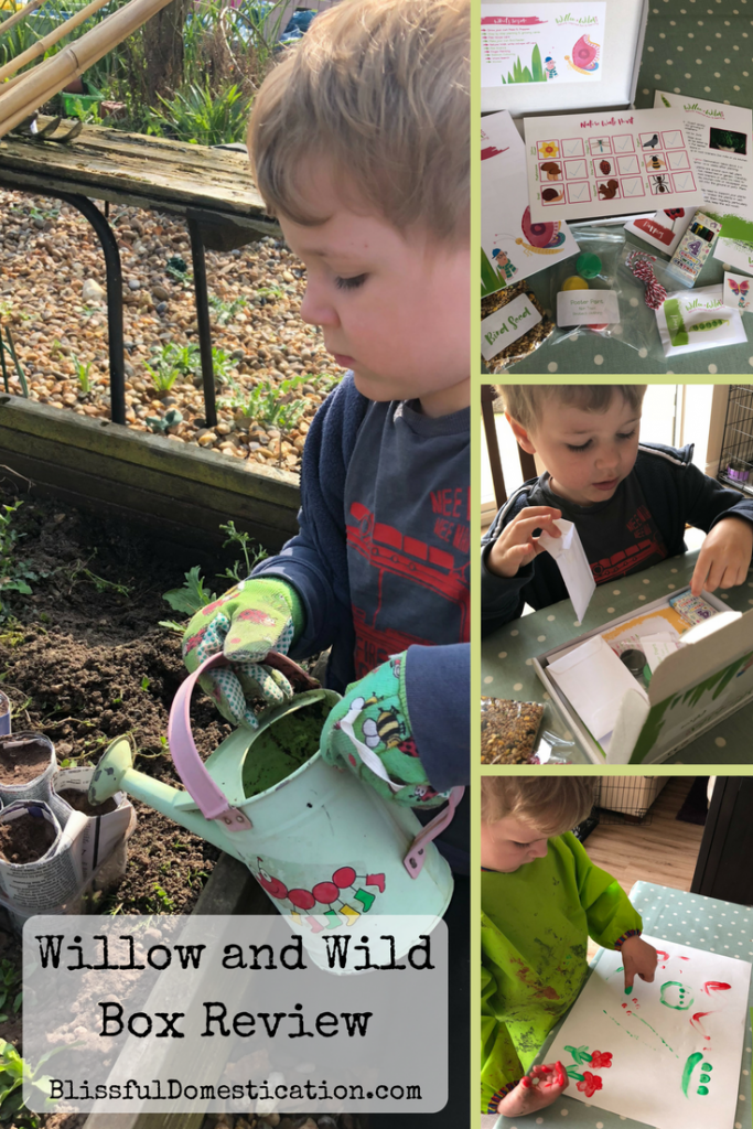 Willow and Wild Box
