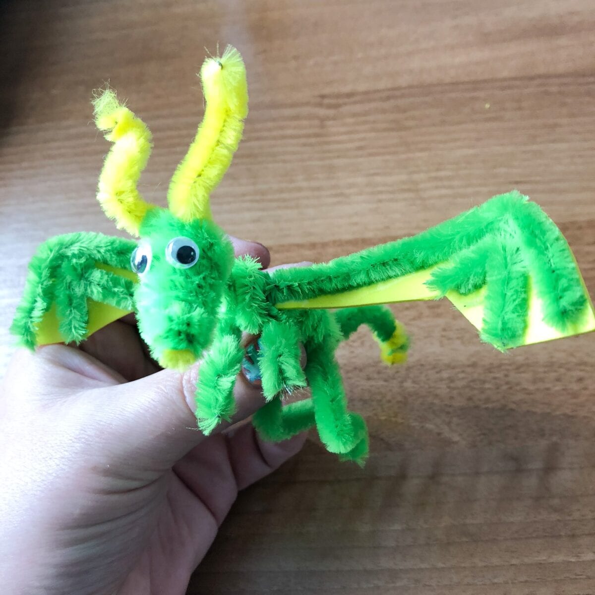 How To Make A Pipe Cleaner Dragon Blissful Domestication