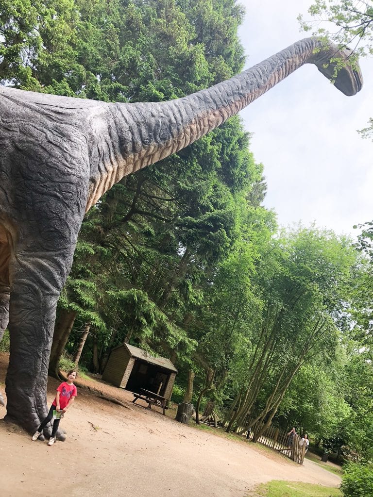 The huge brachiosaurus