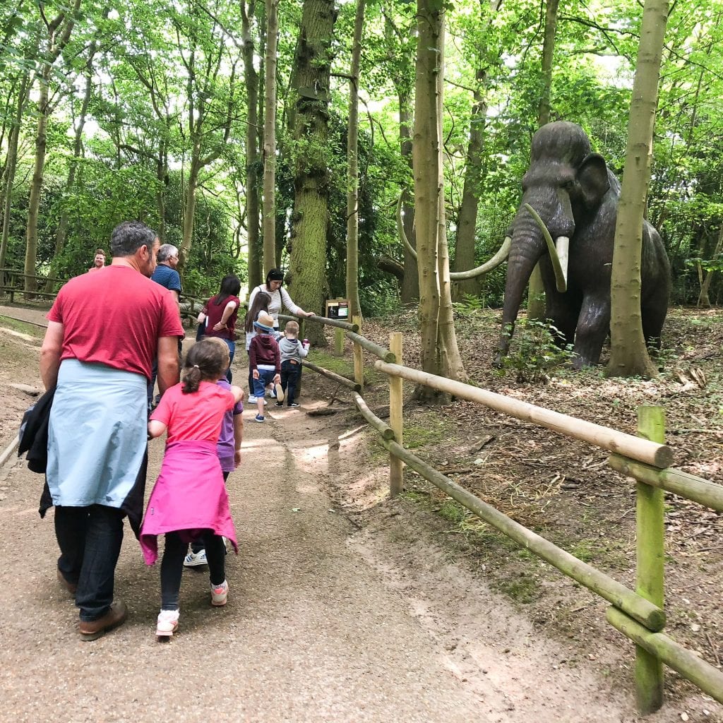 The kids loved seeing the models on the neadethal walk.