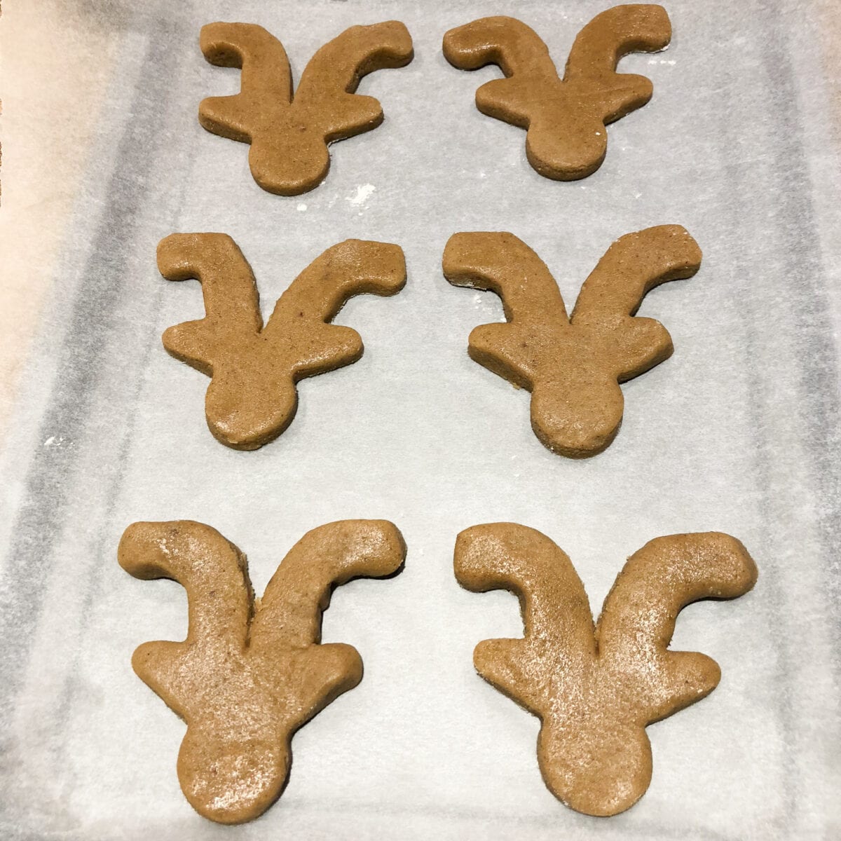 Reindeer Gingerbread Men Cookies