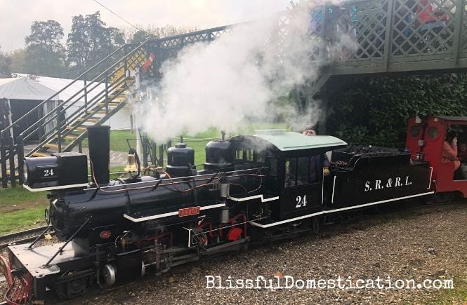 The steam train at Audley End Minature Railway