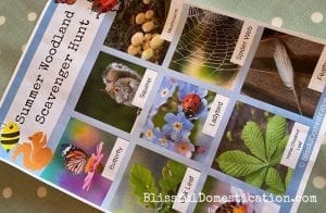 Summer woodland scavenger hunt featured image