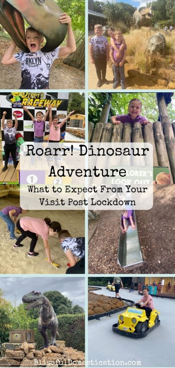 Roarr! dinosaur Adventure PIn