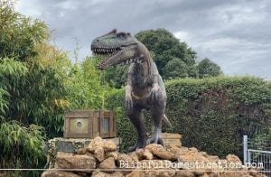 Roarr! Dinosaur Adventure featured image