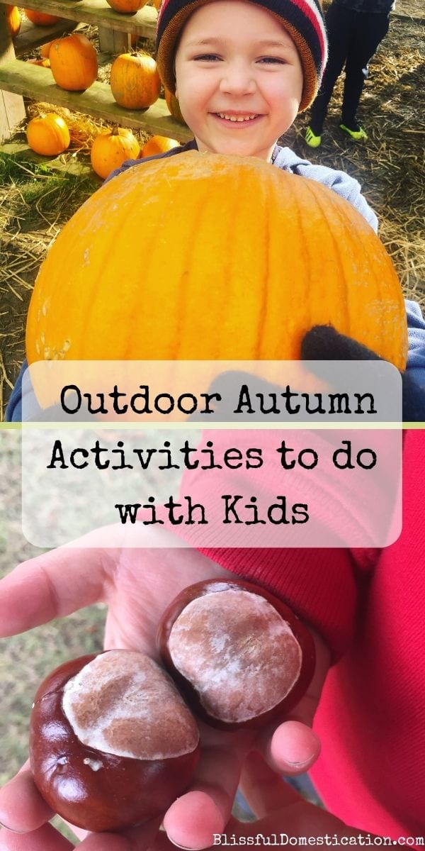 Outdoor Autumn Activities Pin