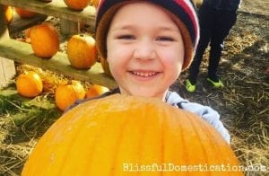 Pumpkin patches Featured IMage