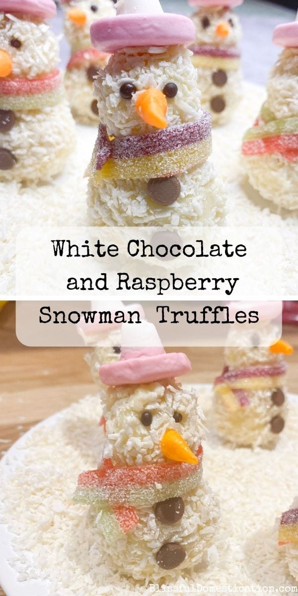 Snowman Truffles pin