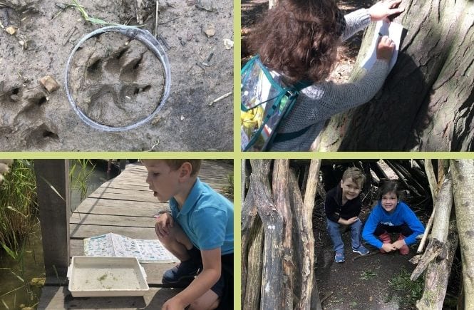 4 pictures- an animal print in the mud, a young girl taking a bark rubbing, and young boy pond dipping and two youngg children in a den built with sticks.
